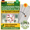 Collage showing a product packaging with text and imagery related to insect traps. Produktbild-Vorschau
