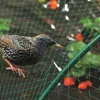 Deco4Home Siatka ochronna przeciw ptakom | 5m x10m | +10  Podgląd zdjęcia produktu 5