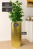 VIVANNO Bac à plantes en fibre de verre SOLERIO Rond, Voir les images du produit 4