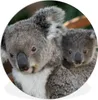 MuchoWow® Rundes Wandbild - Runde Bilder Koalas - Vater - Produktbild-Vorschau 1