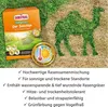 SUBSTRAL® 89998C SUBSTRAL® DER SONNIGE Rasensamen 2,25 kg Podgląd zdjęcia produktu 5
