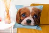 MuchoWow® Zierkissen Sofakissen Wohnzimmer Dekokissen 60x60 Produktbild-Vorschau 6