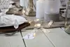 LED Photoclips Lichterkette, die LED Lichterkette für Ihre Produktbild-Vorschau 28