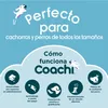 Giocattolo da addestramento Coachi CHASE & TREAT Blu Anteprima dell’immagine prodotto 3