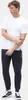 Dickies Herren T-Shirts basic DICKIES TSHT PK WHITE L Produktbild-Vorschau 4