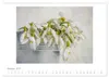 Vintage Flowers (Wandkalender 2027 DIN A2 quer), CALVENDO Produktbild-Vorschau 5