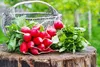 SAFLAX - Garden in the Bag - BIO - Radieschen - Cherry Bell Produktbild-Vorschau 9