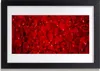 Bild 30x20 MDF-Rahmen Wandkunst Natur Blütenblätter Pflanze Produktbild-Vorschau 1