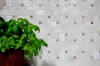 Mosaikfliese selbstklebend Travertin Naturstein beige Produktbild-Vorschau 2