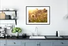 MuchoWow® Gerahmtes Poster Pflanzen - Natur - Blumen - Produktbild-Vorschau 4