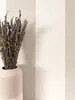 NEWROOM Tapete Finia Beige Vliestapete - Streifen Streifen Produktbild-Vorschau 1
