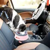 A dog is drinking water from a portable bowl inside a car. Podgląd zdjęcia produktu
