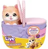 Zestaw Little Live Pets „Kociak Mama Surprise Kitten” Podgląd zdjęcia produktu 1