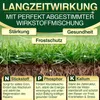 DÜNGEMEISTER Herbst Rasendünger – mit Langzeitwirkung und Produktbild-Vorschau 4