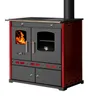 A product shot of a wood-burning stove. Anteprima dell’immagine prodotto