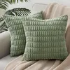 Topfinel Kissenbezug 40x40 grün 2er Set Kordsamt Boho Produktbild-Vorschau 1