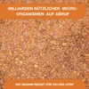 Bakto Dry 500g - Teichbakterien Produktbild-Vorschau 5