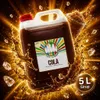 Rainbow Slush Sirup Cola 5 Liter 1:5 AZO frei ohne Glyzerin Produktbild-Vorschau 10