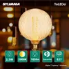 A close-up of a decorative light bulb with marketing icons and text at the bottom. Produktbild-Vorschau
