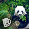 Anti-Stress Panda Glas Tasse Produktbild-Vorschau 3