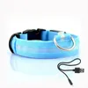 Hundehalsband Leuchthalsband Halsband für Hunde LED USB Produktbild-Vorschau 2
