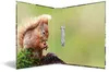 Raccoglitore ad anelli HERMA A4 in cartone 2D animali della Anteprima dell’immagine prodotto 18