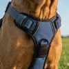 Pettorina anti-tiro per cani Belviona, pettorina a Y Anteprima dell’immagine prodotto 5