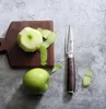 PAUDIN N8 Gemüsemesser 9 cm – professionelles japanisches Produktbild-Vorschau 14