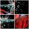 Bilder auf glas - Fisch Wasser Natur - 120x80cm - Produktbild-Vorschau 8