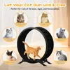 COMHOMA, roue d'exercice pour chat, très grande (100 cm), Voir les images du produit 2