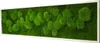Moosbild 140x40cm 50% Flachmoos/ 50%Kugelmoos (weiß) Produktbild-Vorschau 2