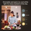 Philips Hue - Smart LED Bulb, A67 E27, warm- bis kaltweißes Produktbild-Vorschau 20