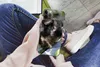 MuchoWow® Handyhülle Schutzhülle Hülle für iPhone 13 Pro Produktbild-Vorschau 3