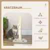 PawHut Kratzstamm, 62cm Kratzsäule für Katzen mit Produktbild-Vorschau 4