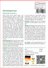 SAFLAX - Gänsefingerkraut - Potentilla anserina - 20 Samen Produktbild-Vorschau 3
