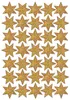 Adesivi Herma DECOR Stelle di Natale oro Ø 16 mm mica 1 Anteprima dell’immagine prodotto 1