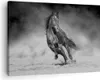 Bild auf Leinwand - Leinwandbild - Einteilig - Pferd Galopp Produktbild-Vorschau 1
