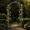 DanDiBo Arco di rose in metallo zincato solido 120 cm Arco Anteprima dell’immagine prodotto 6