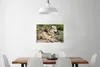 MuchoWow® Poster Wolf - Jungtier - Tier 60x40 cm - Produktbild-Vorschau 2