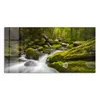 DEQORI Glasbild Echtglas 100x50 cm 'Sattgrüne Waldkulisse' Produktbild-Vorschau 2
