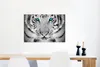 MuchoWow® Poster Tiger - Kopf - Nase 60x40 cm - Produktbild-Vorschau 5