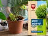 Wurzelstimulator Osiryl - 10ml - Besseres Pflanzenwachstum Produktbild-Vorschau 4