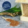 A close-up shot of birdseed in a wooden scoop, with a bird feeder and decorative grass in the background. Produktbild-Vorschau