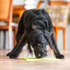LickiMat Buddy Leckmatte für Hunde., Farbe:pink, Produktbild-Vorschau 5