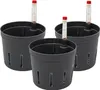 Kulturtopf 09/07 mit WA II/7er 3er-Pack Produktbild-Vorschau 1