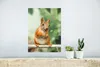 MuchoWow® Poster Eichhörnchen - Rute - Herbst 30x40 cm - Produktbild-Vorschau 5