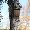 Relaxdays Fledermauskasten, großer Unterschlupf für Produktbild-Vorschau 2