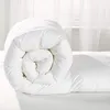 Prikrývka Celoročná 180X200 Cm Antialergické Mikrovlákno Náhľad obrázku produktu 3