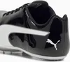 Puma Evospeed Sprint 14.5 Produktbild-Vorschau 4