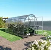 Gewächshaus KLASIKA SLIM 2x4m (8m2) mit 6mm Polycarbonat

 Anteprima dell’immagine prodotto